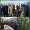 بازدید مدیرعامل بانک کشاورزی و وزیر اقتصاد از پروژه راهبردی «گوزل طبیعت ارس»